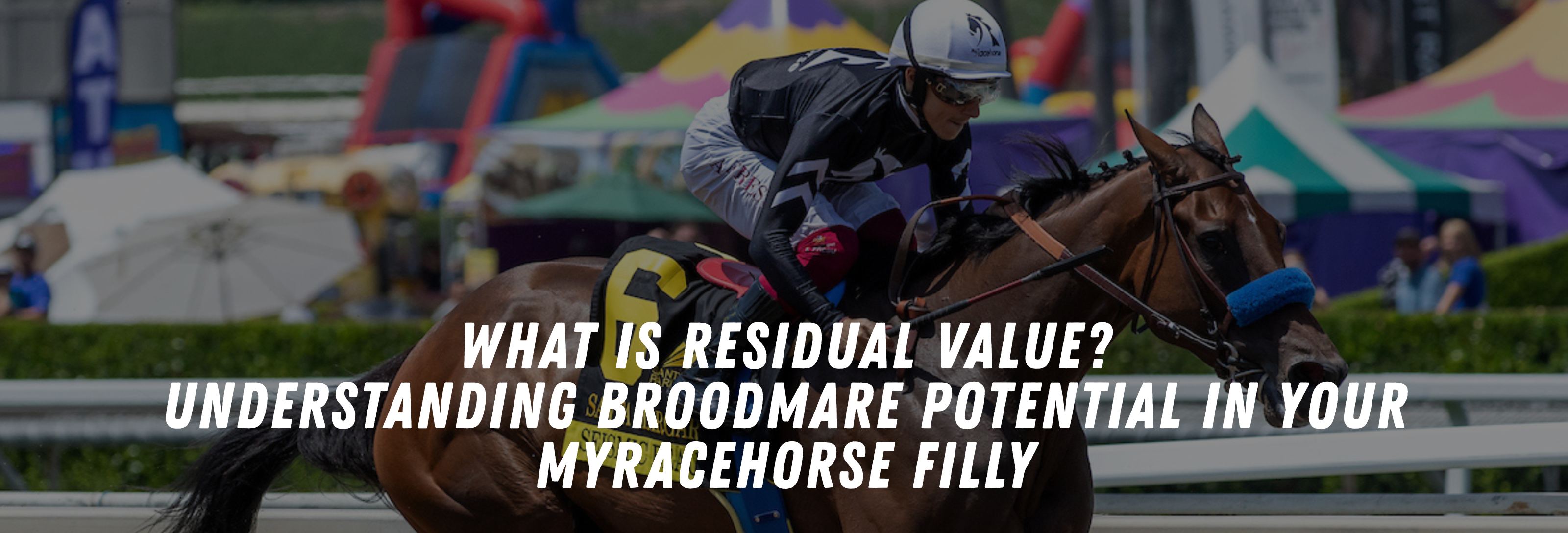 What is residual value? Understanding Broodmare Potential in your MyRacehorse Filly