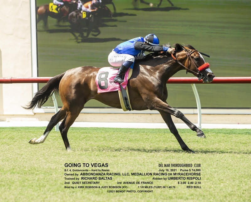 MyRacehorse Horse Racing Ownership. Buy a racehorse share. Starting at 100.
