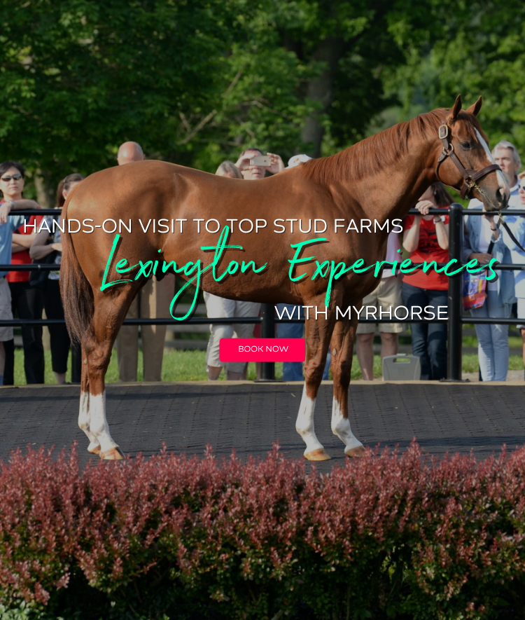 MyRacehorse Horse Racing Ownership. Buy a racehorse share. Starting at 100.