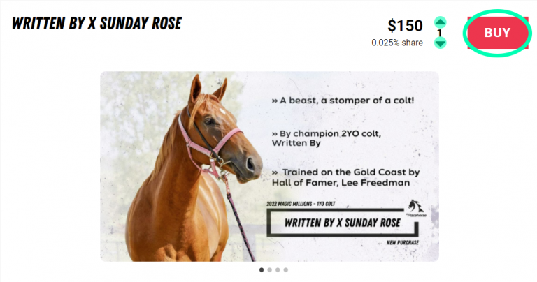 myracehorse coupon code