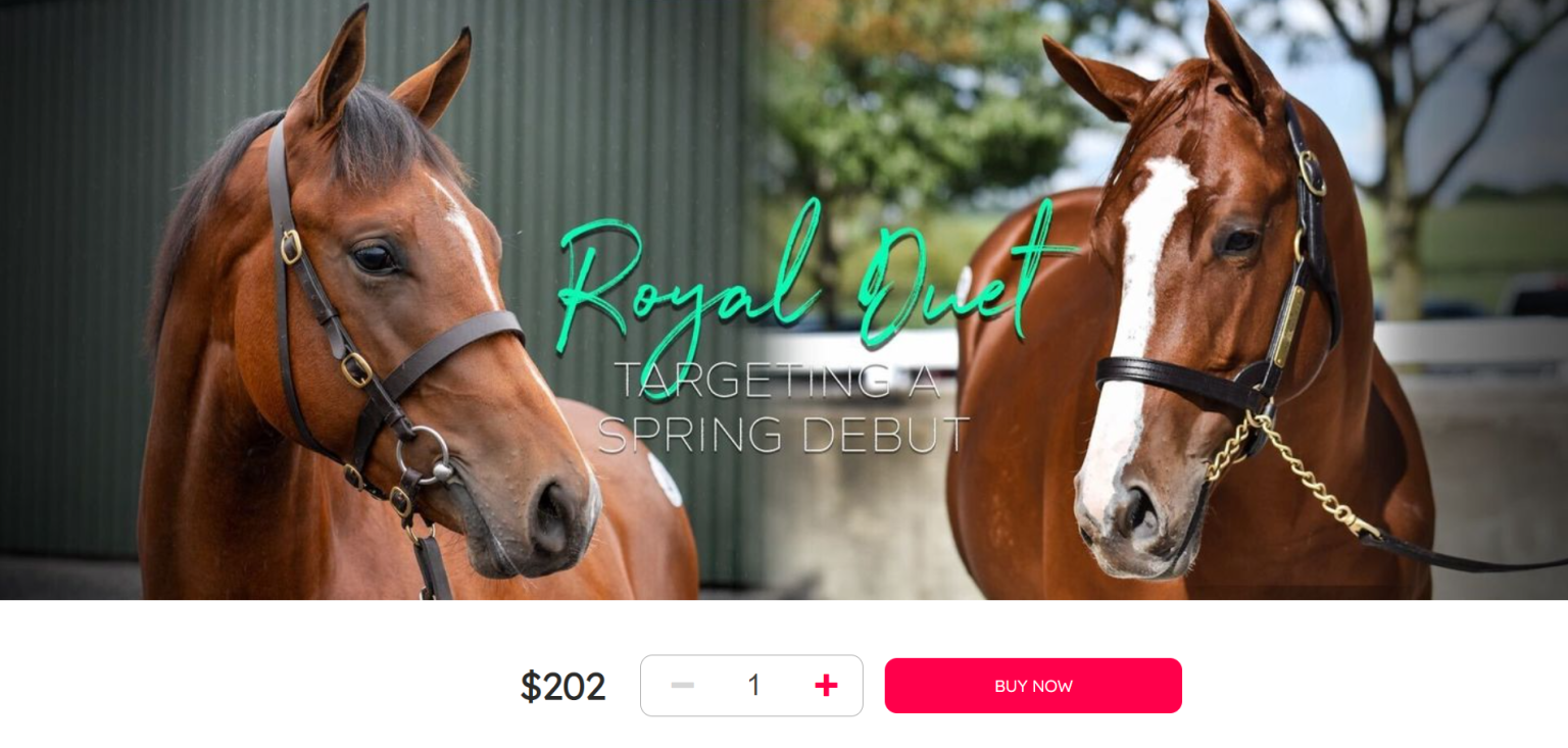 MyRacehorse Horse Racing Ownership. Buy a racehorse share. Starting at 100.