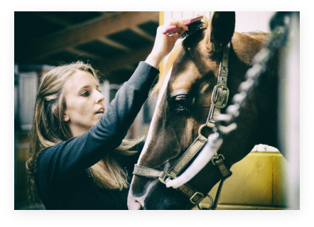 Select 10 Essential Tips for Safe and Enjoyable Horse Riding