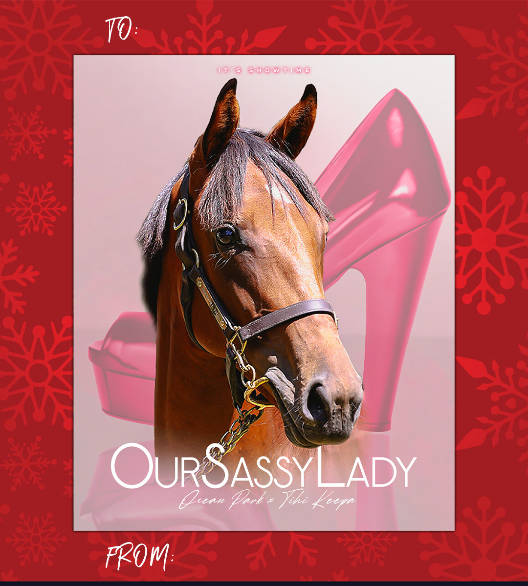 Racehorse christmas card