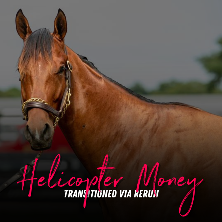 MyRacehorse Horse Racing Ownership. Buy a racehorse share. Starting at 100.