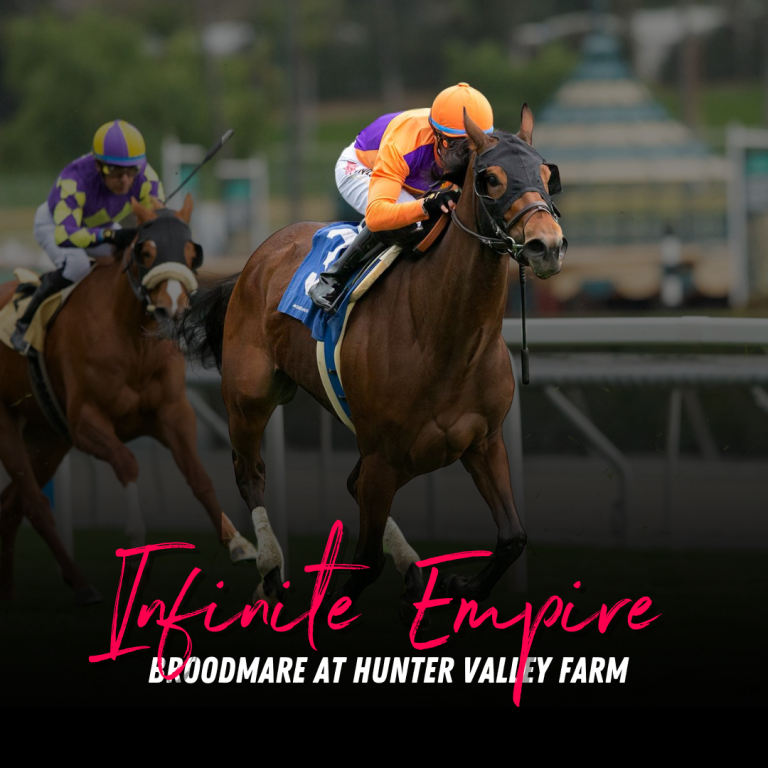 MyRacehorse Horse Racing Ownership. Buy a racehorse share. Starting at 100.