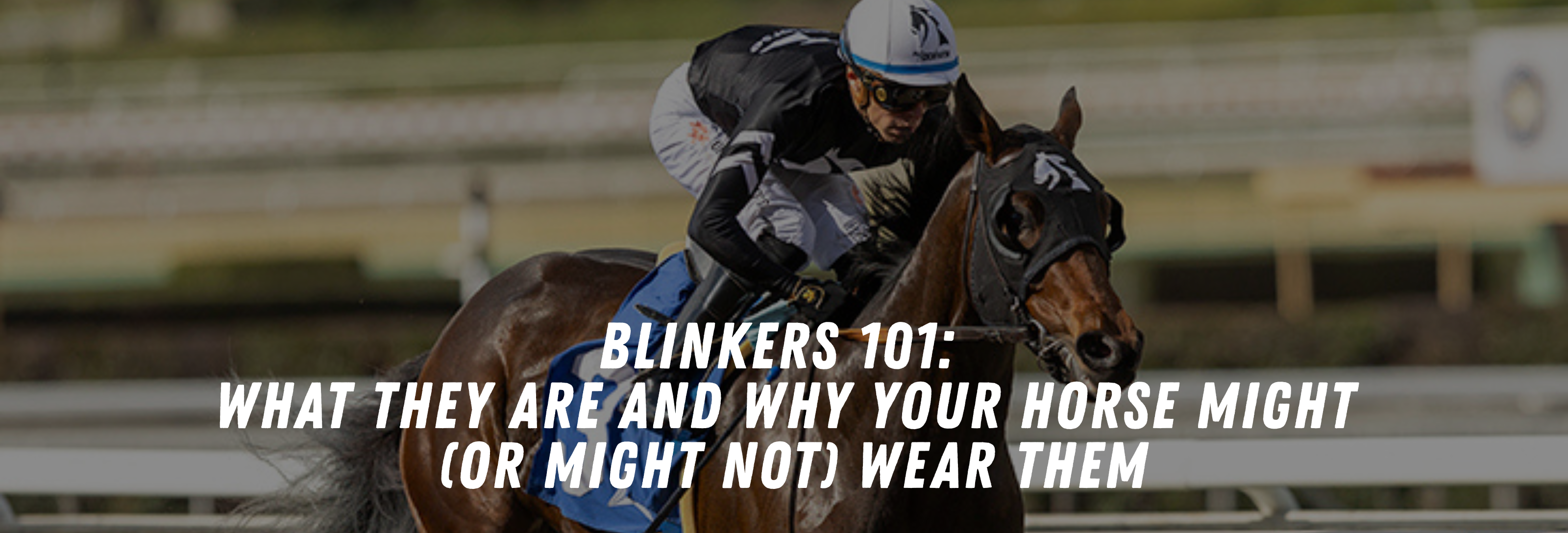 Blinkers 101: What they are and why your horse might (or might not) wear them.