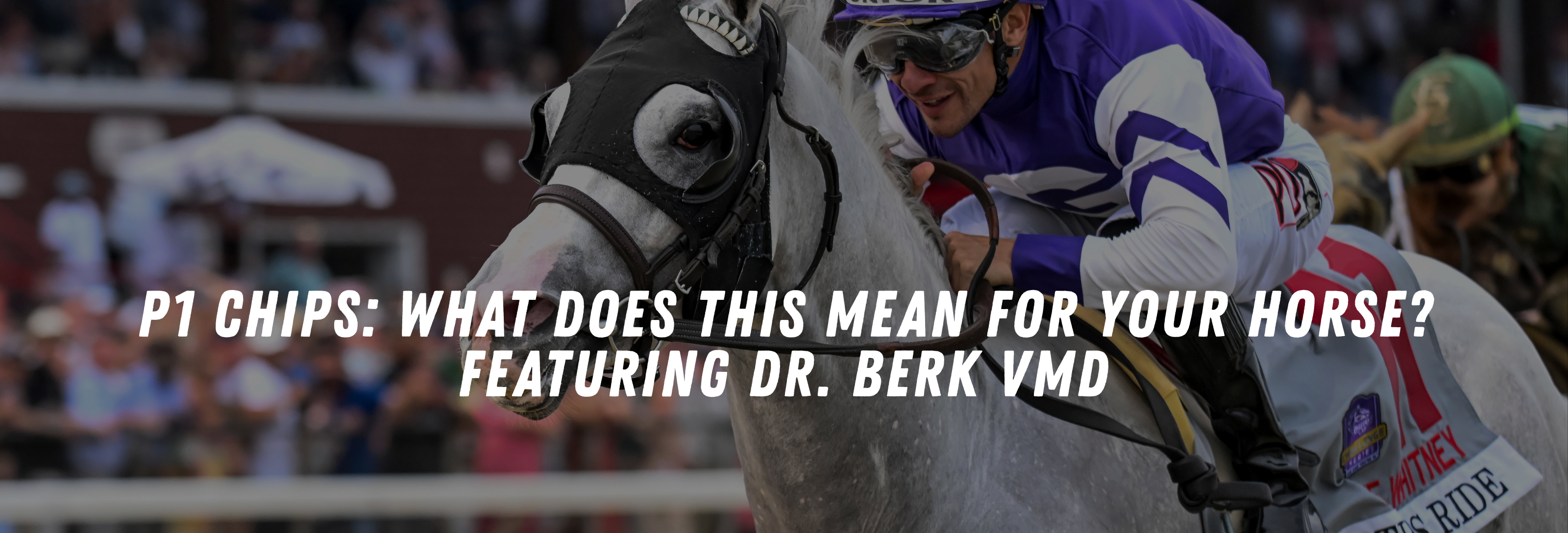 P1 Chips: What does this mean for your horse? Featuring Dr. Berk VMD