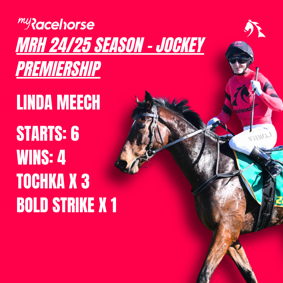 MyRacehorse Horse Racing Ownership Buy A Racehorse Share Starting myracehorse-horse-racing-ownership-buy-a-racehorse-share-starting