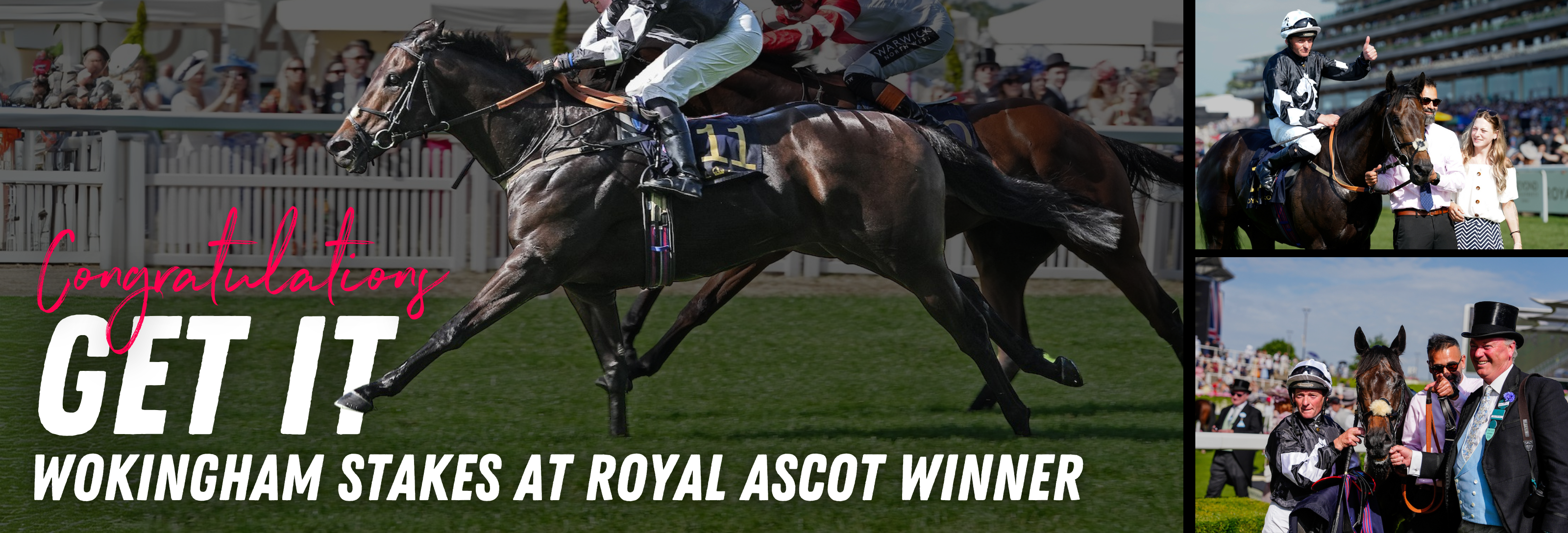 MyRacehorse - Horse Racing Ownership. Buy a racehorse share. Starting ...