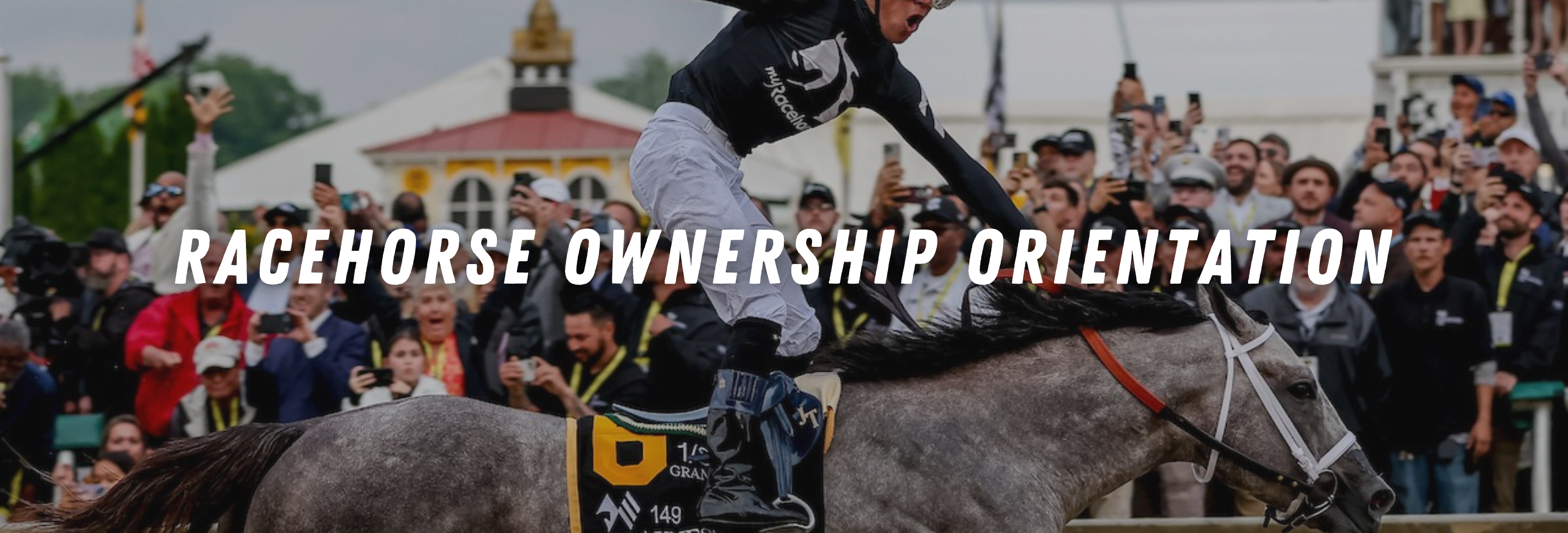 Shopify Header Images -76