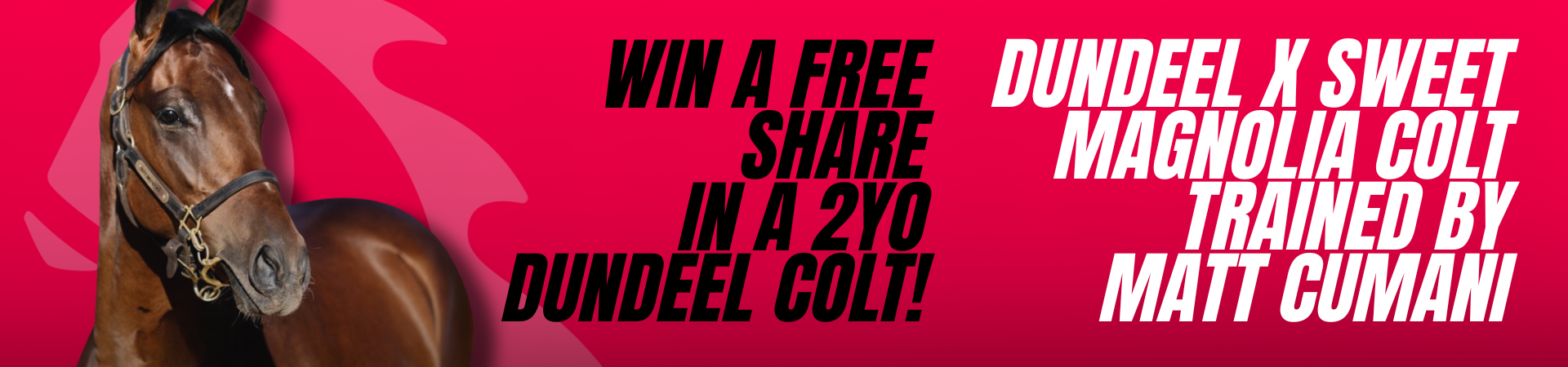 mobile carousel (1920 x 550 px)