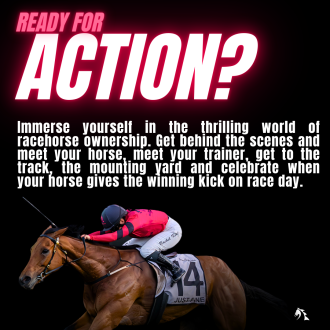 ready_for_action_1x1_1_